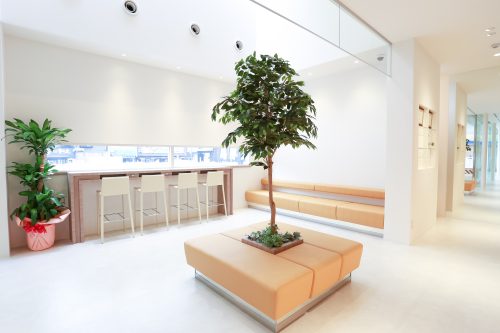 歯ぎしり・いびき